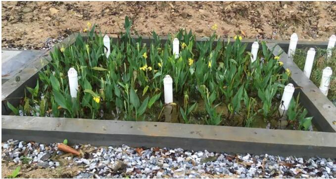 人工湿地六,厌氧  人工湿地体积和容量的选择根据《广东省农村生活