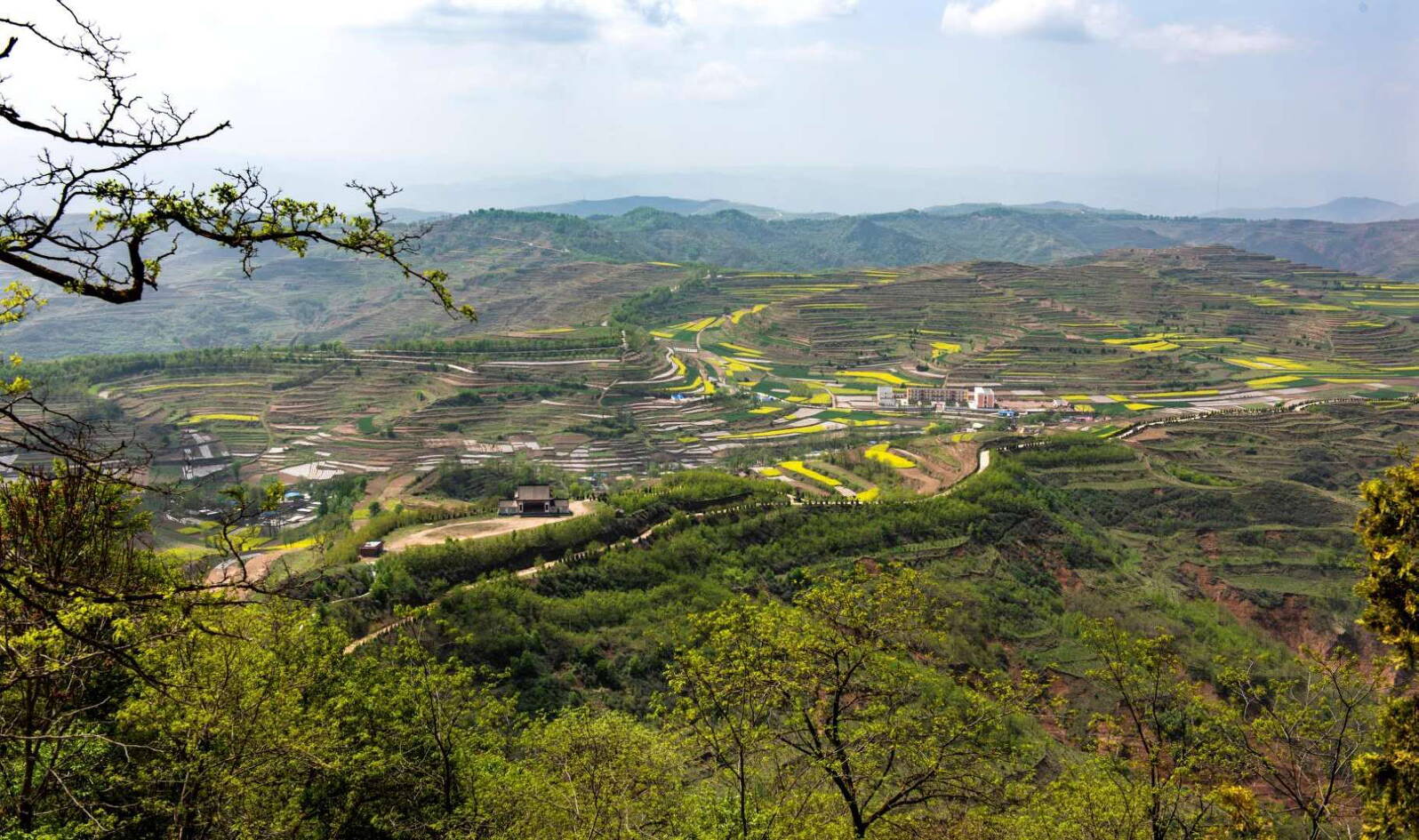 天水新阳镇凤凰山图片