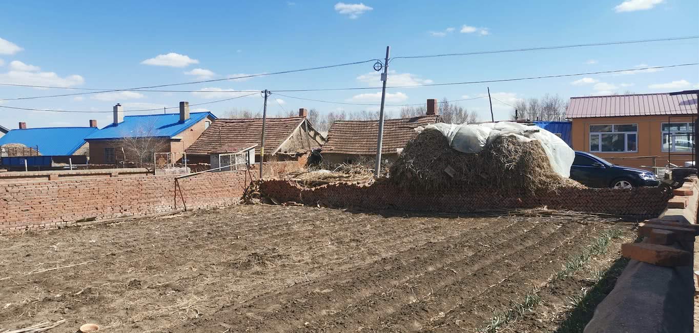 阿里亩产一千美金升级小农经济东北贫困县万余农民增收25倍