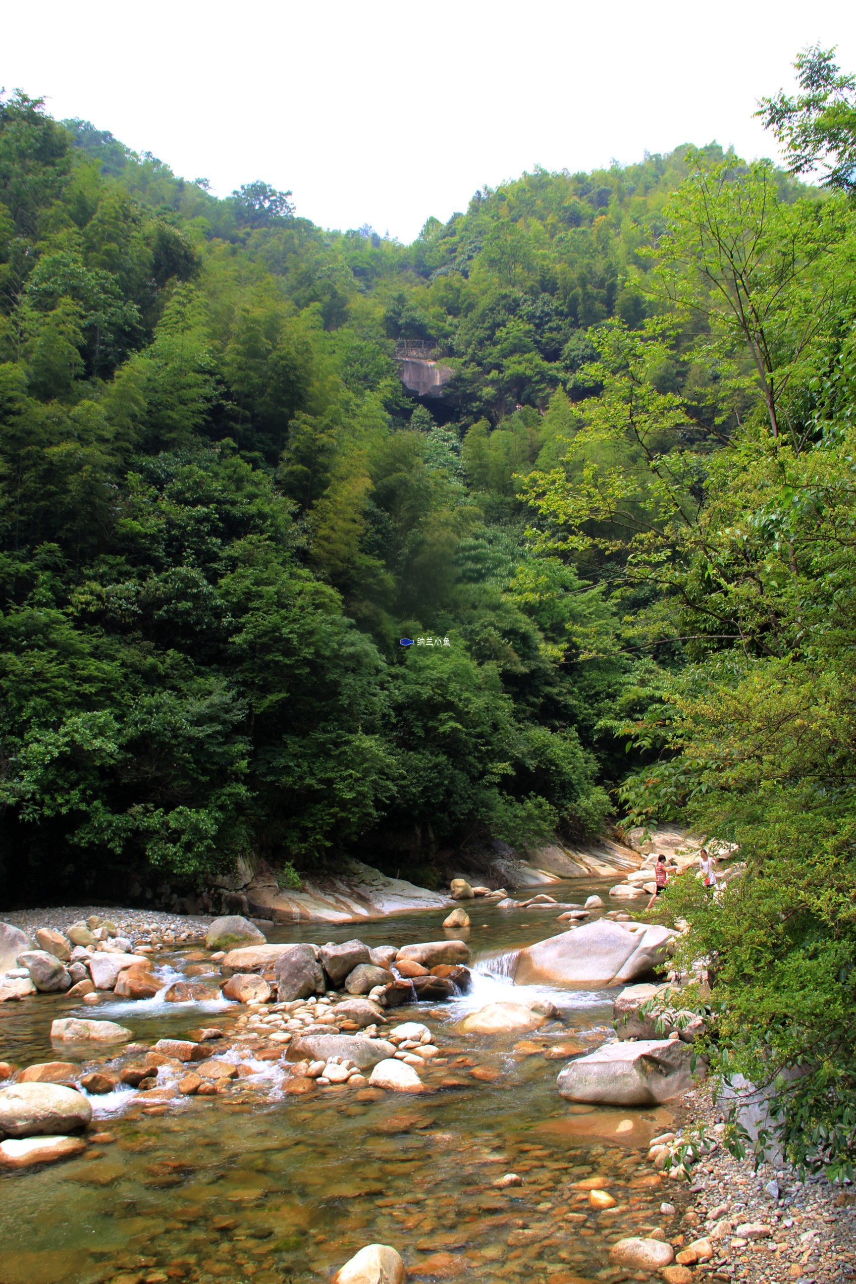 大鄣山卧龙谷风景区图片