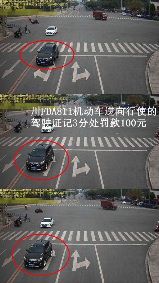 闯红灯,逆行.什邡交通违章曝光(第190429期)!