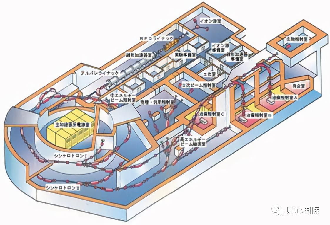 【贴心医生】日本医疗体检真的值得体验吗?
