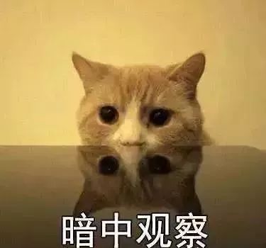 深夜停车,一张白白的鬼脸在车里"盯"着你!