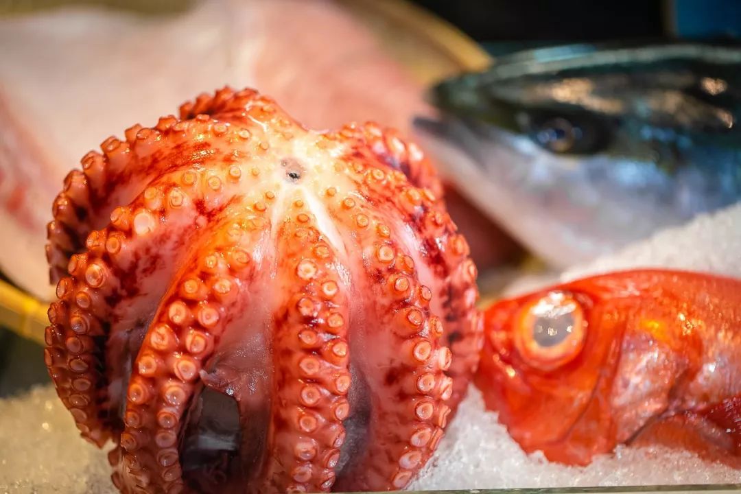 这家店以这种方式吃了一整只"罗志祥"?