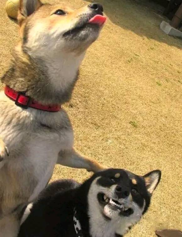 250,住宿费根本不够,男同事提议可以住个双人房,我害 羞 的点了点头