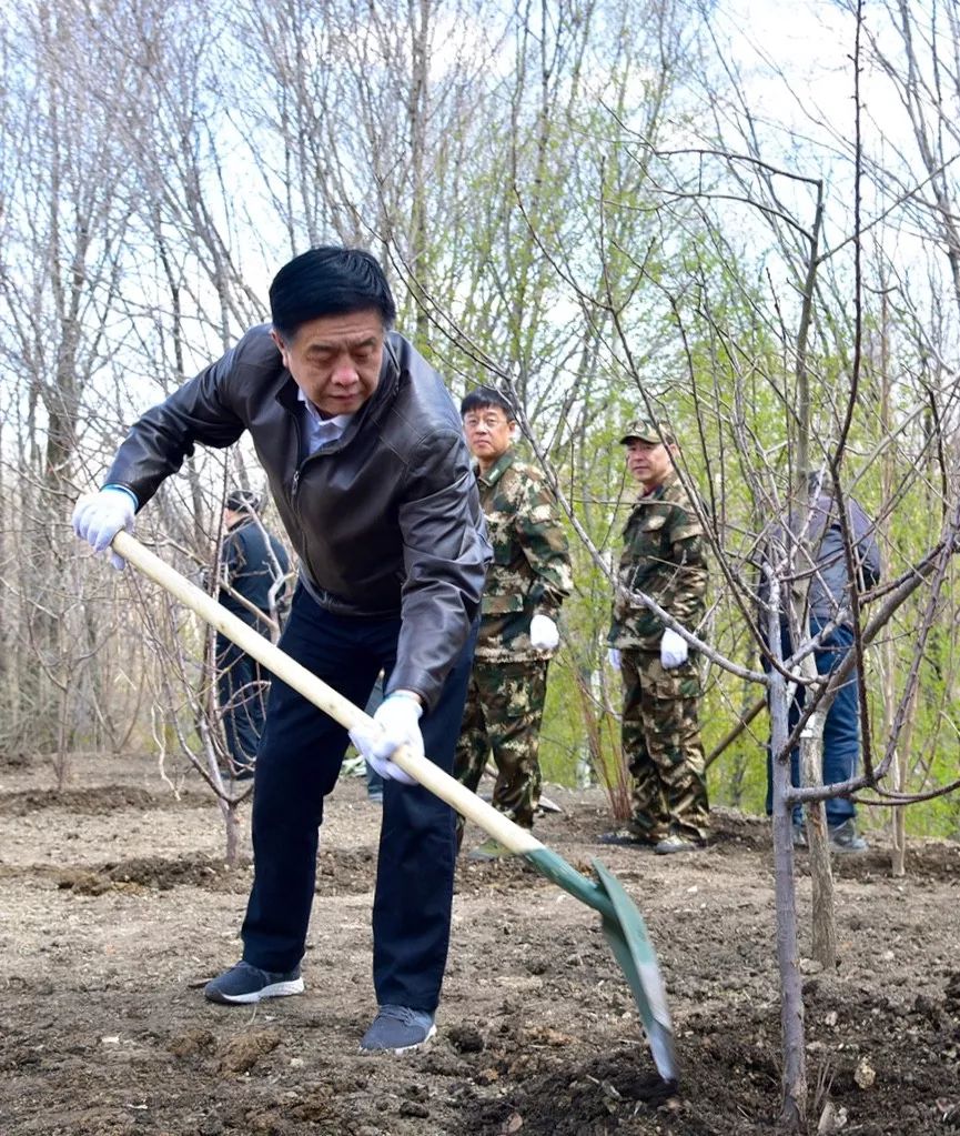 義務植樹我們在行動森工集團有限公司領導幹部義務植樹活動側記