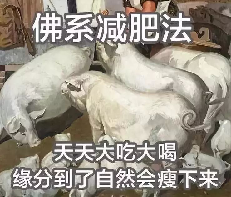 手脚瘦却肚子大可能是肚腩or胃腩傻傻分不清楚