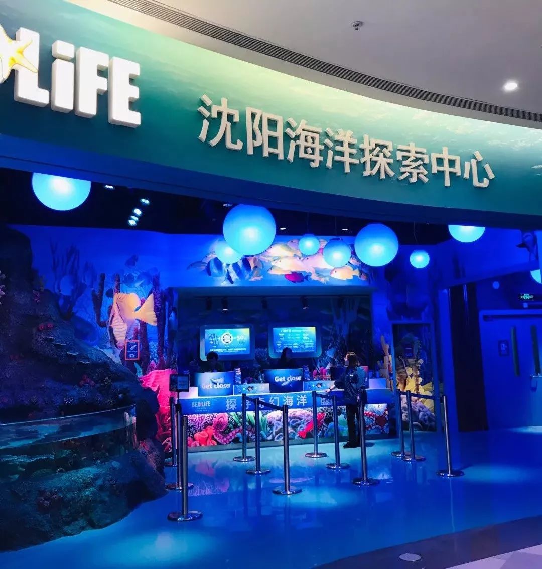 k11海洋探索中心//玩跟我来~其实沈阳附近也有很多好玩好吃的已京订