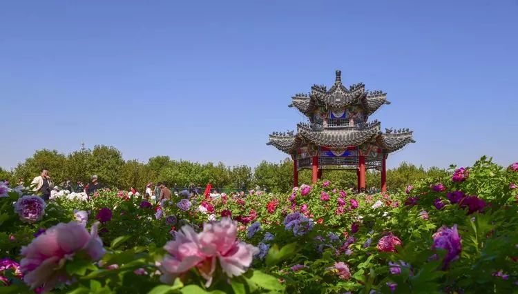 鄄城孙膑旅游城·亿城寺,郓城水浒好汉城等经典景区列入其中,突出菏泽