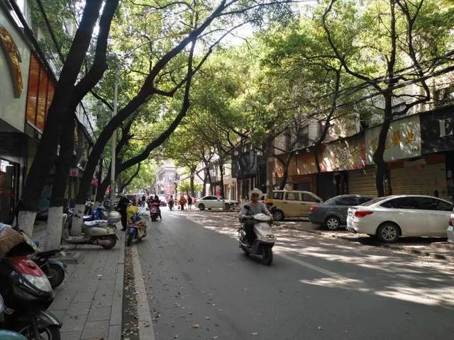 建设路县城区车流量增大,建设路,曲阳路和梦泽大道车流量大增,极易