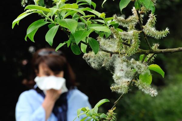 花粉过敏,皮肤红肿?教你三招儿"自救,只需要几块钱