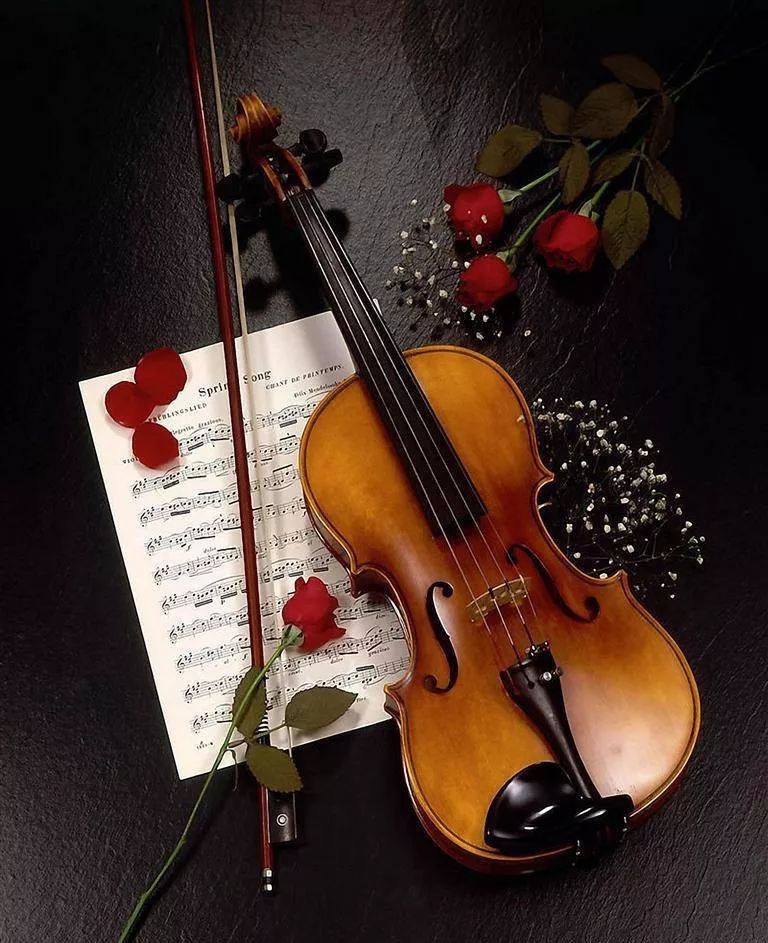 【琴声悠扬 放飞梦想】——金色摇篮济南康桥园小提琴展示活动