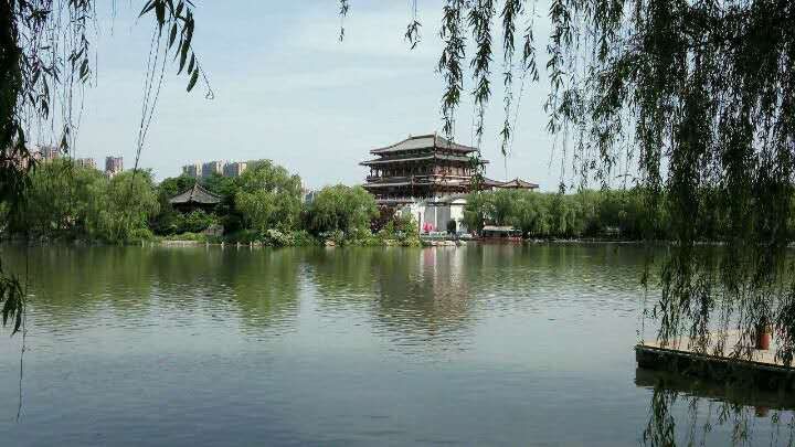 穿越大唐享高雅 作者简介 刘媛玲,西安市灞桥区退休教师.