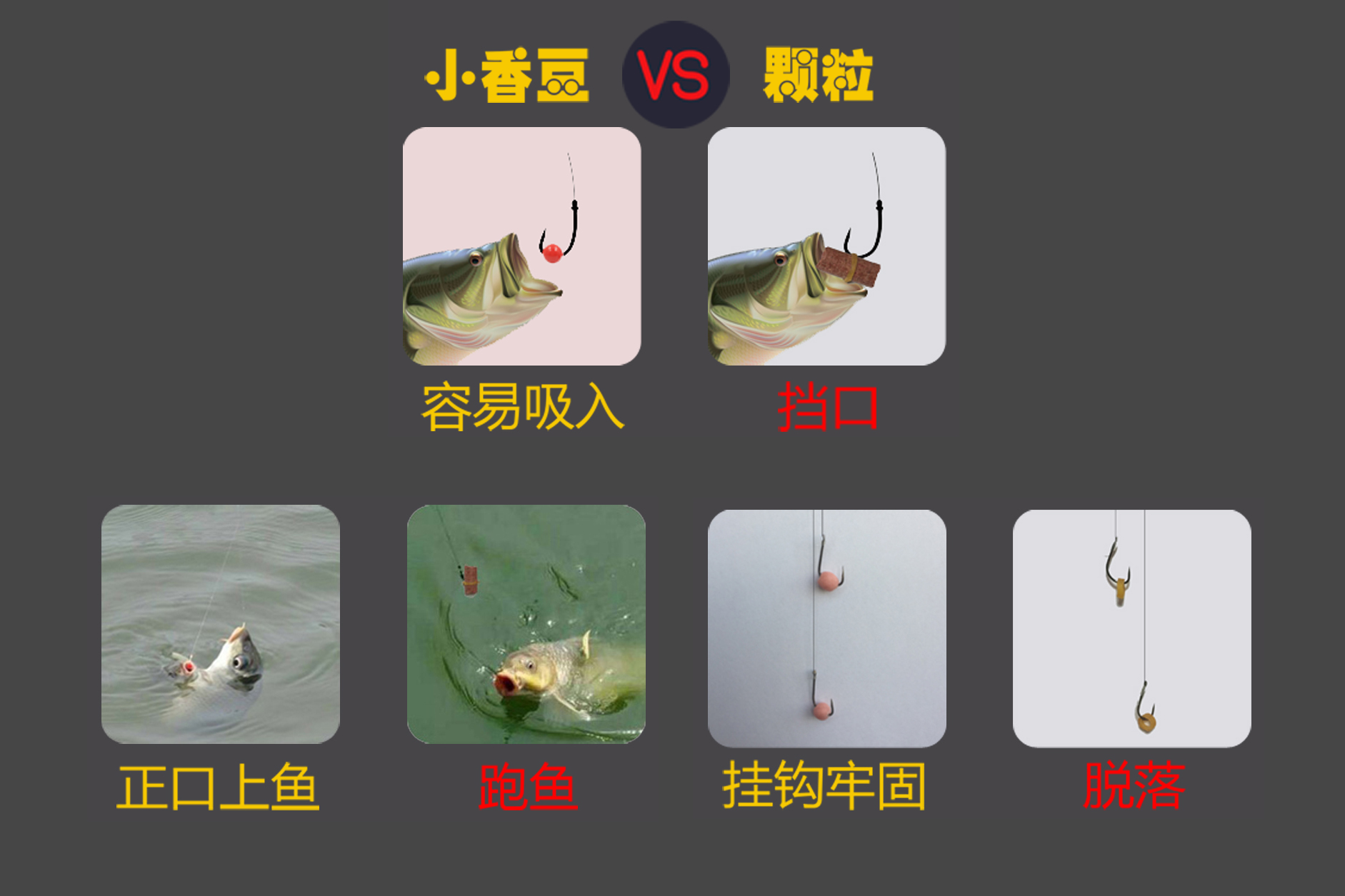 在黑坑钓场钓鱼时,散炮挂不住钩,颗粒又挡口爱跑鱼,如何解决?_饵料