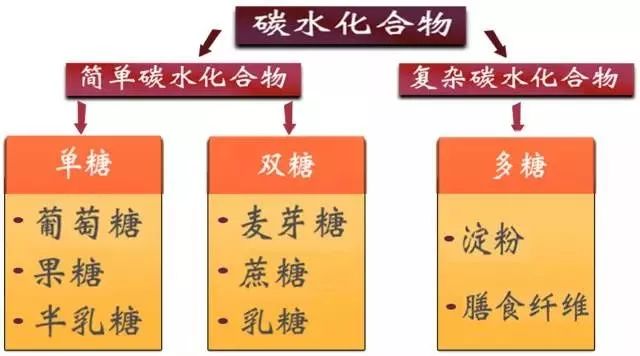 谈碳水化合物色变六个理由告诉你不用怕