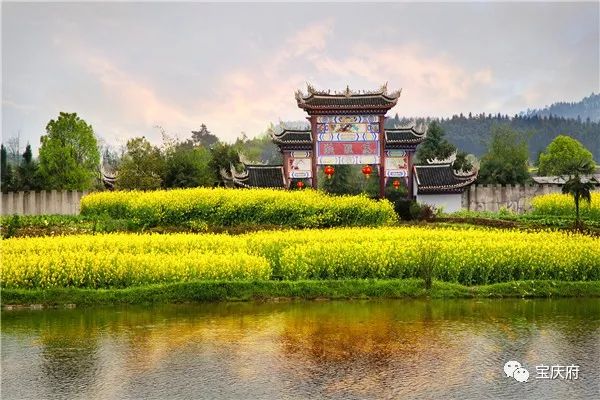 【宝庆风情】神奇的狐狸岛_芙蓉