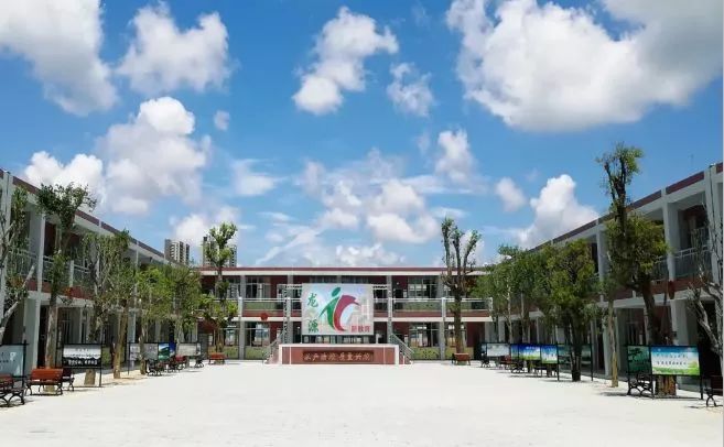 正南300米师范附属小学正对面就是阳江市中医医院(一所集医疗,科研