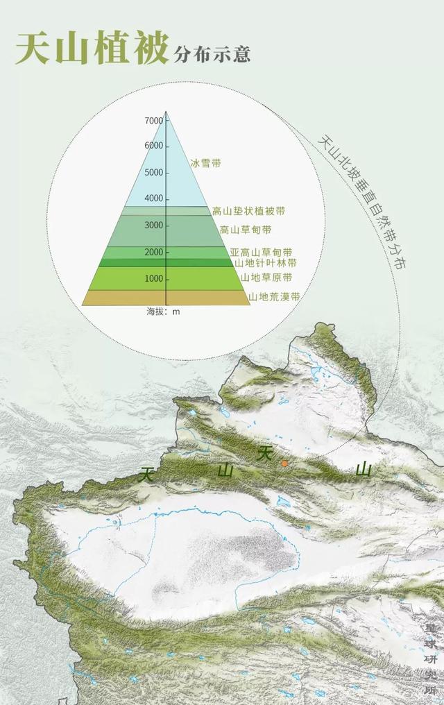 七月的天山游览图图片