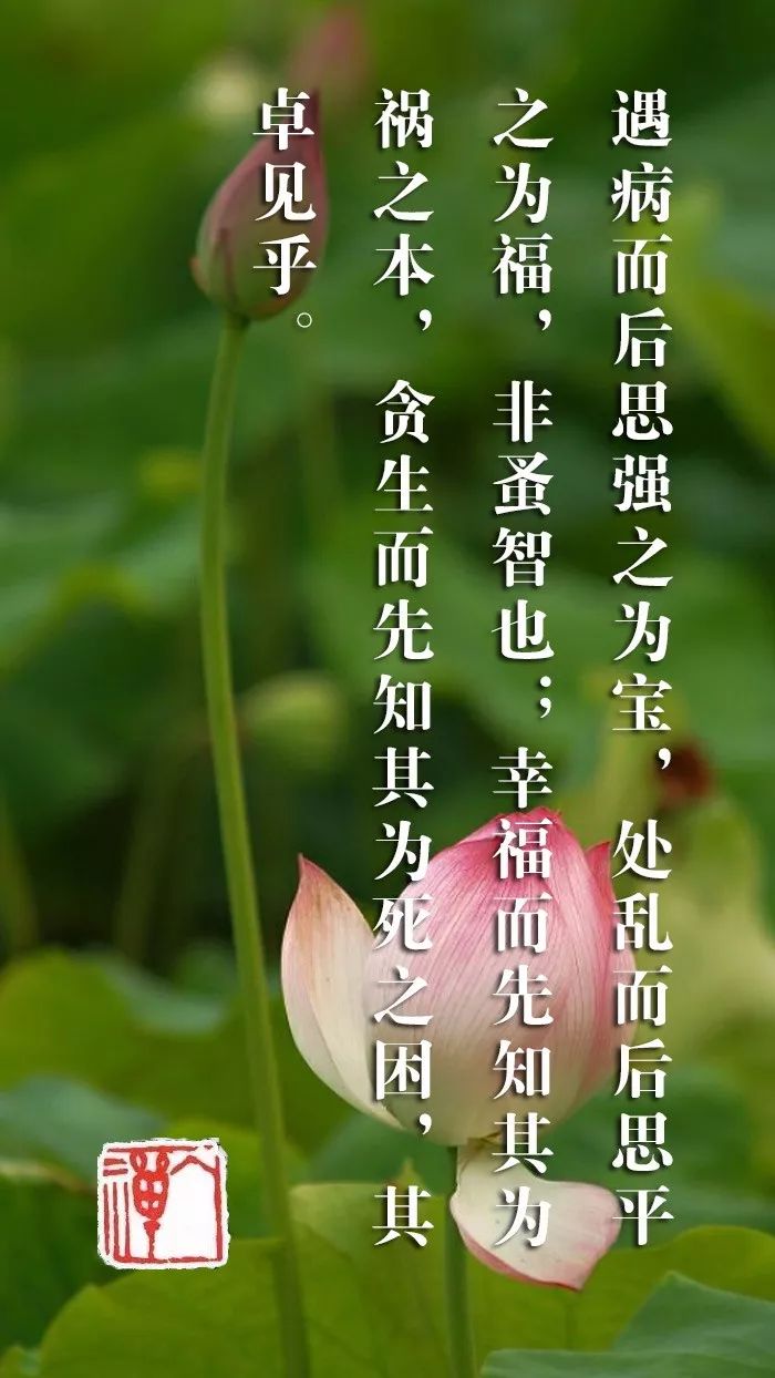 焉知非福什么意思 来自搜狐网