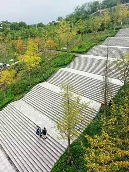 为什么中国大学生都是山顶洞人