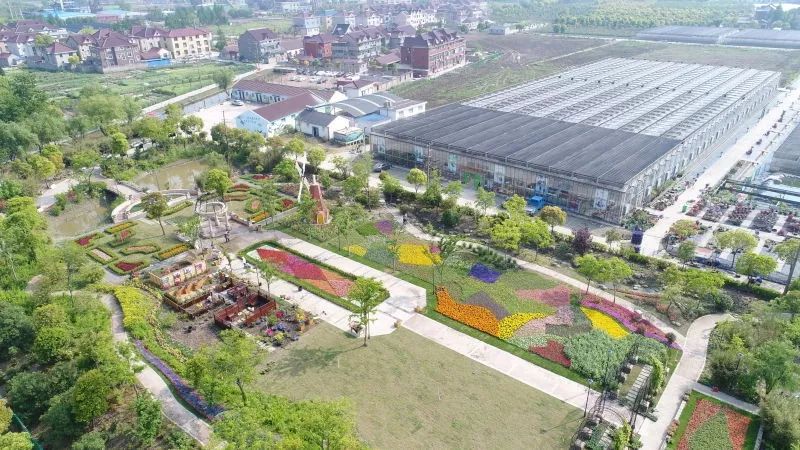 有看头浪漫花海,田园野趣花卉基地,竹编非遗精致院落,农家小吃,醇美乡