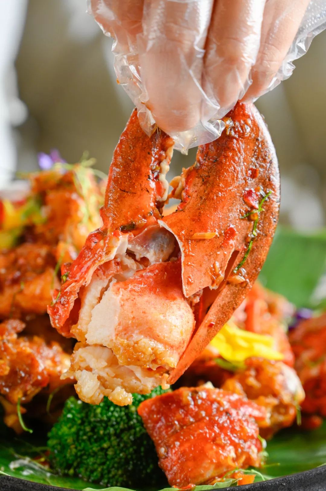 镇店招牌征泰冬阴功汤被浓缩加工成酱,用来爆炒足有2斤重的大龙虾.