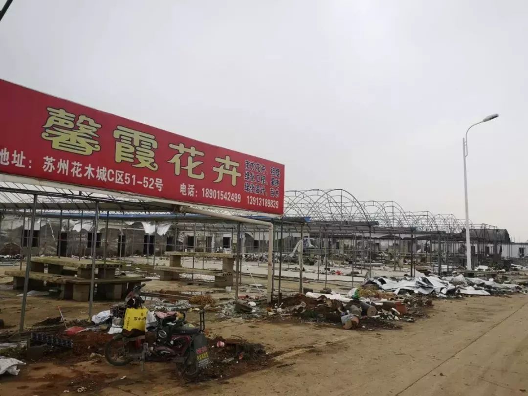 消除安全隐患,相城再出重拳:苏州花木城拆除!_市场