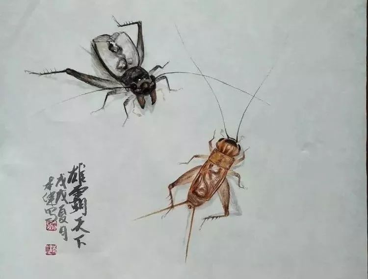 徐本健先生的蟋蟀作品深受大家喜爱.