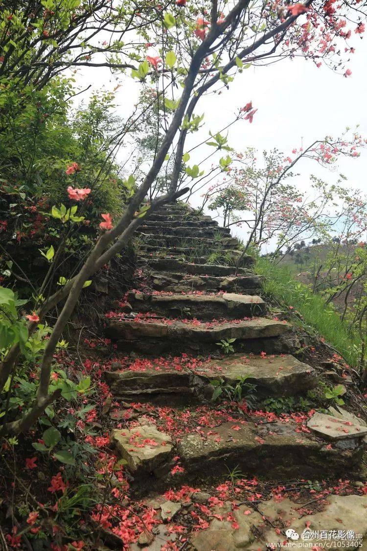 天台雷峰乡景点图片