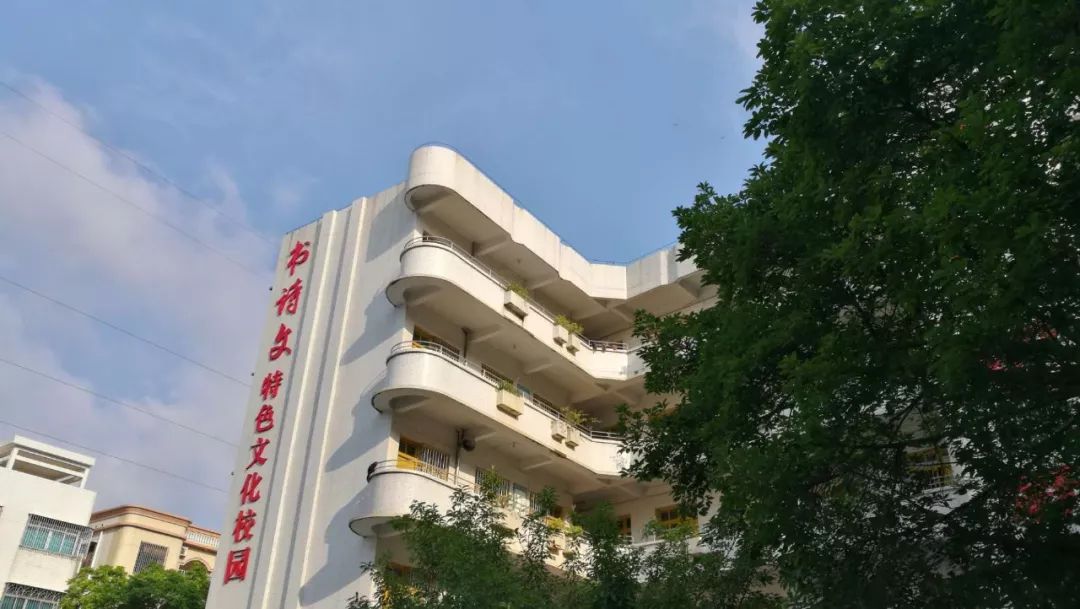 本次活动在湛江吴川城建小学举行.