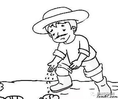 农民插秧简笔画幼儿园图片