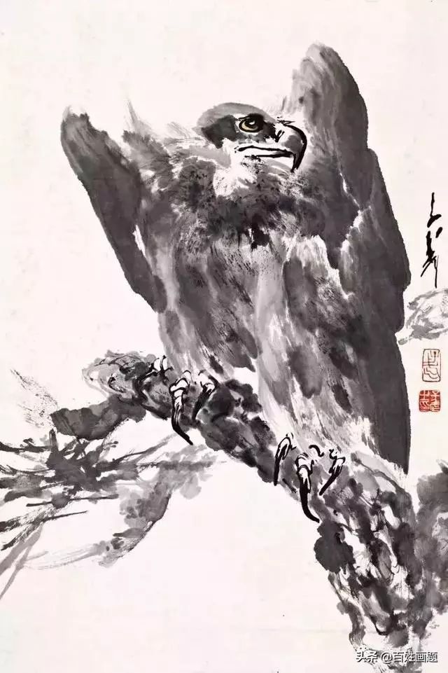 画鹰最猛的五大家