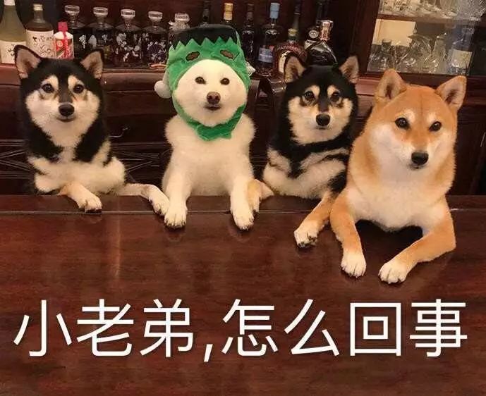 争四的兄弟们你们是怎么肥四