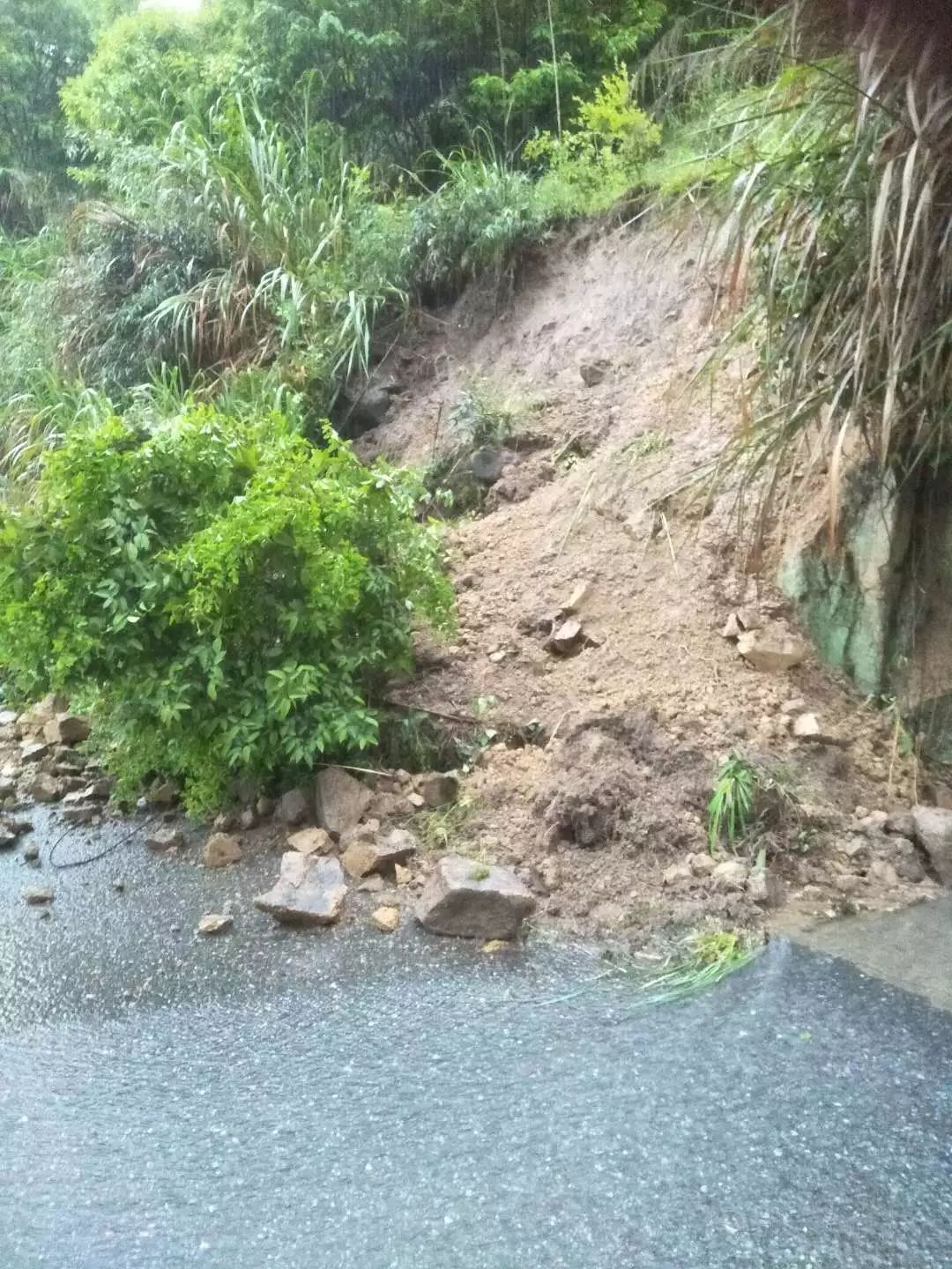 昨夜我市出现大范围暴雨天气 遂昌塌方路段已基本抢通