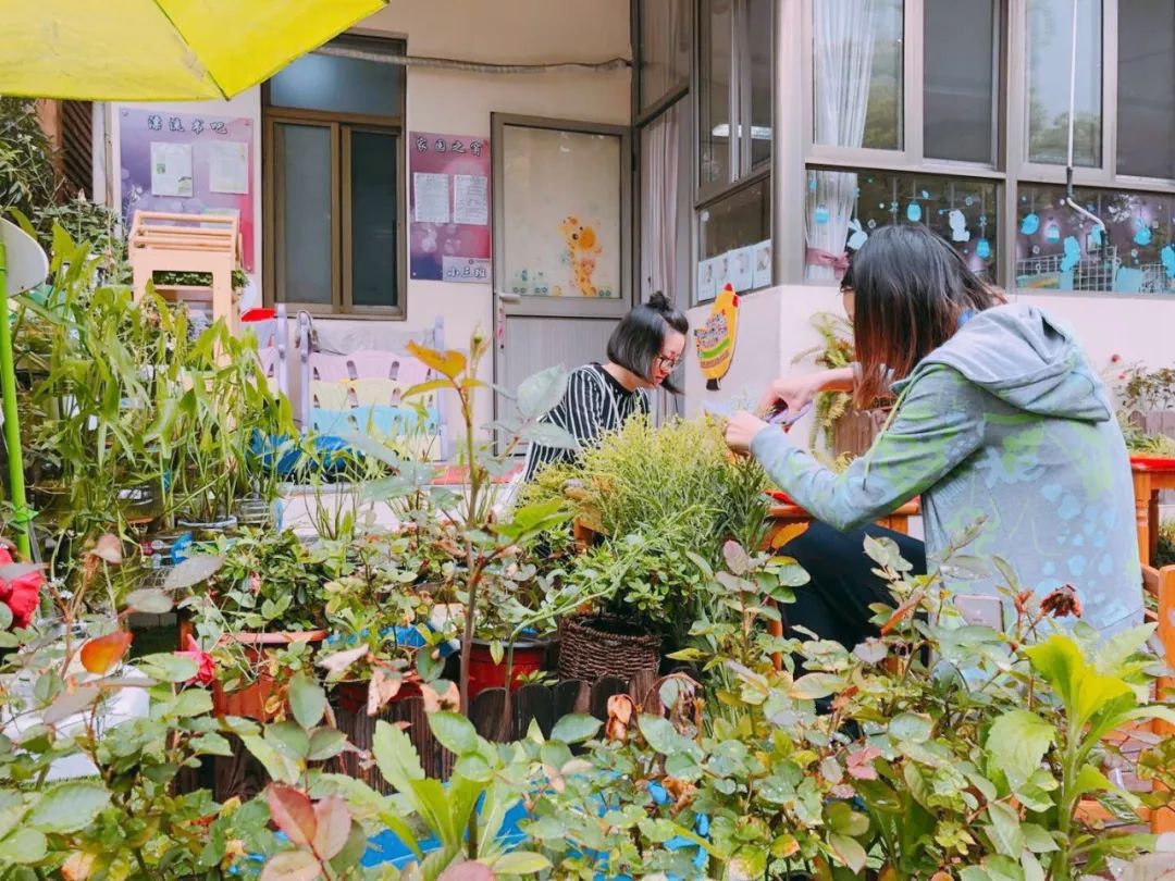 我们都是小小花艺师香草工坊x紫薇实验幼儿园植物主题课程