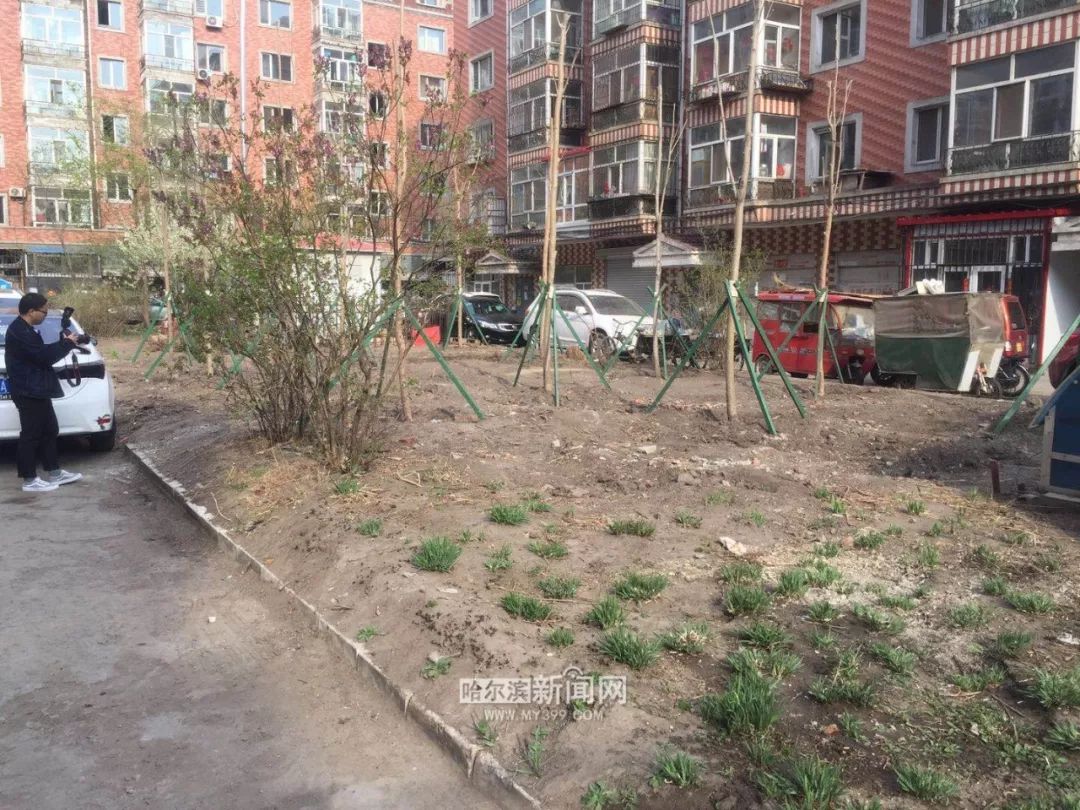 不怕的来试试还以为人行道小区里砍丛树铲株花没人管呢5倍罚款追究