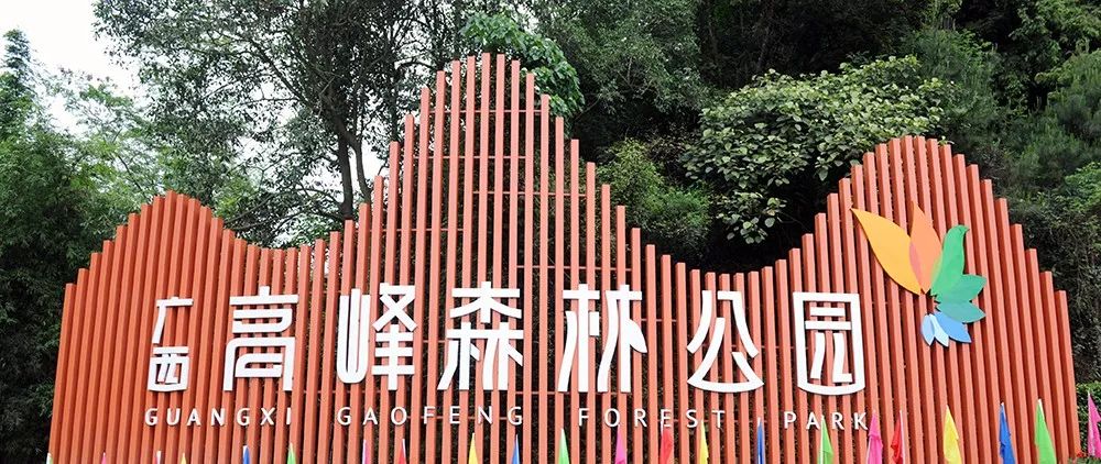 城启丨共建高峰森林公园棕榈股份助推广西森林旅游产业升级