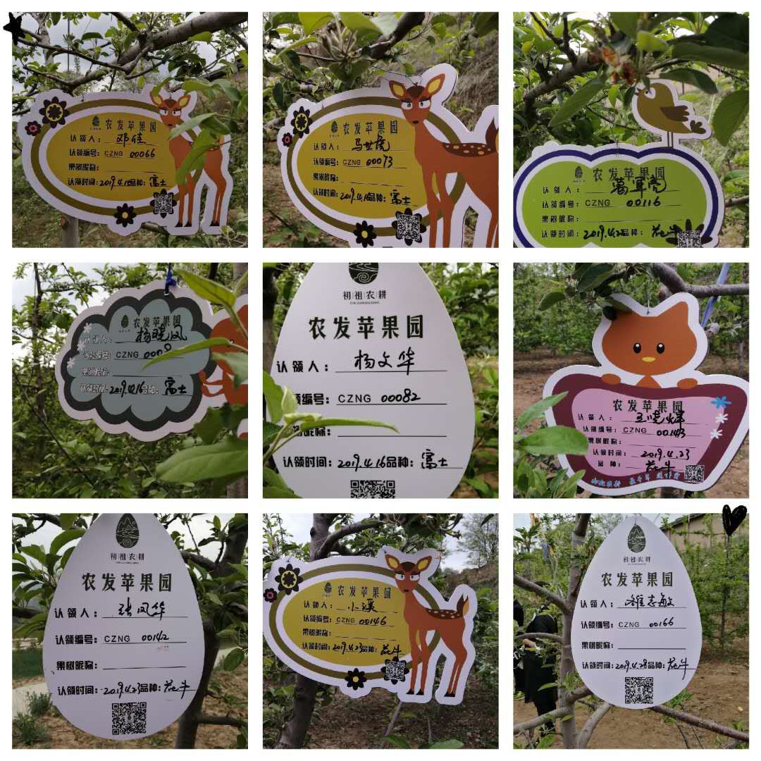认购消费扶贫公益认购爱心果树挂牌了与您同名我是你的小呀小苹果