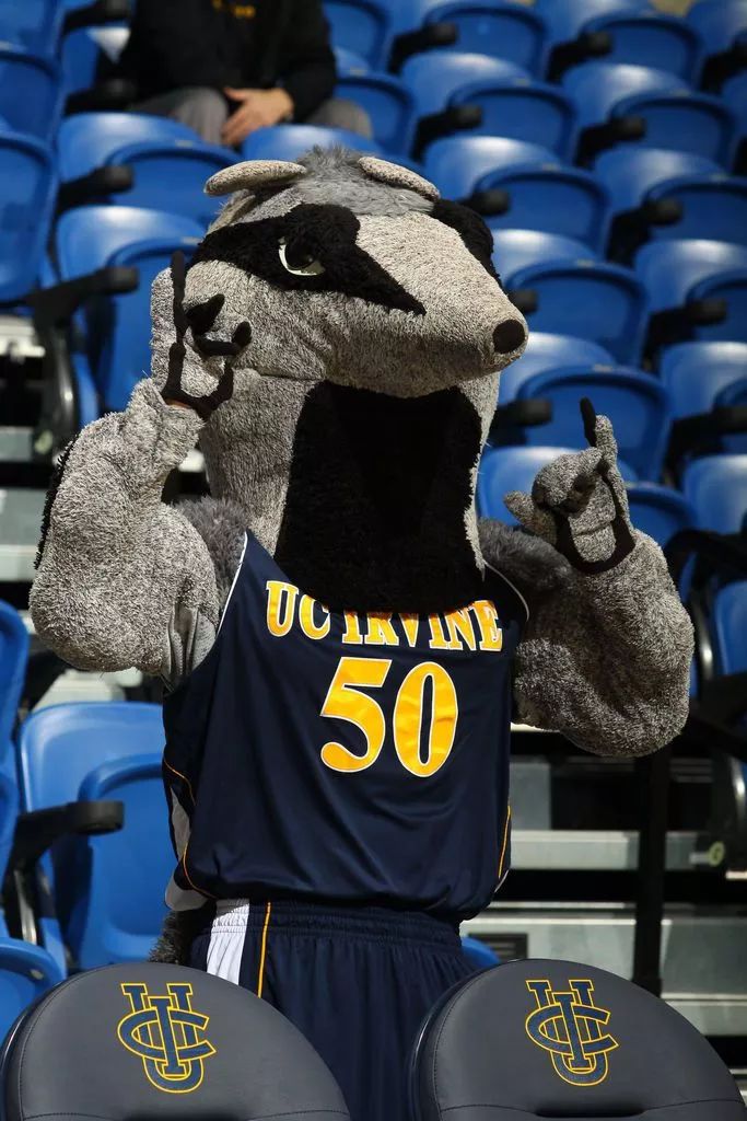 十大最毁三观的美国大学吉祥物!斯坦福荣登榜首,加州尔湾不甘落后