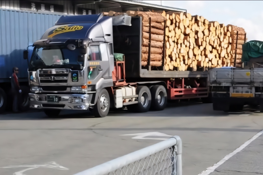 实拍大型货车运输木材,看清楚司机那一刻我不淡定了