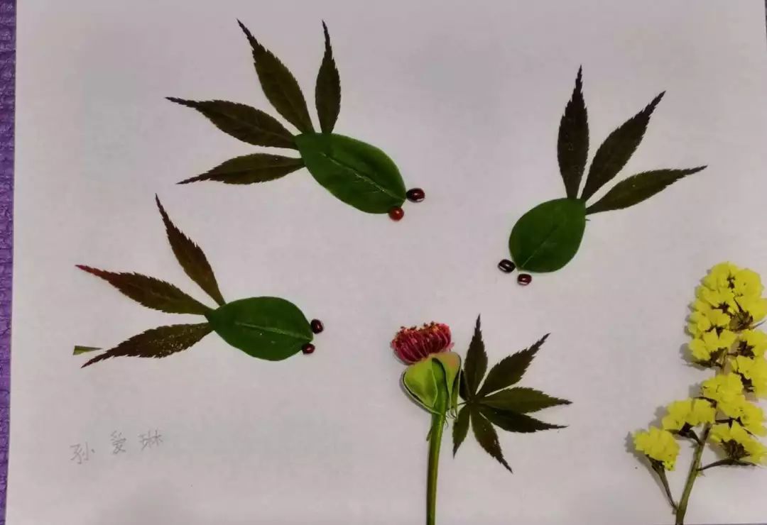 自然植物创意拼图图片