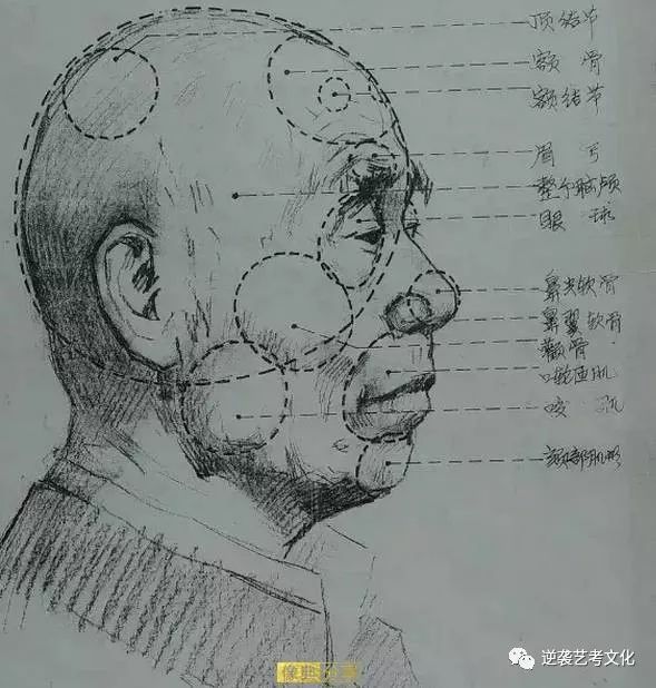 看哭了咱们美术生的那些心酸事儿