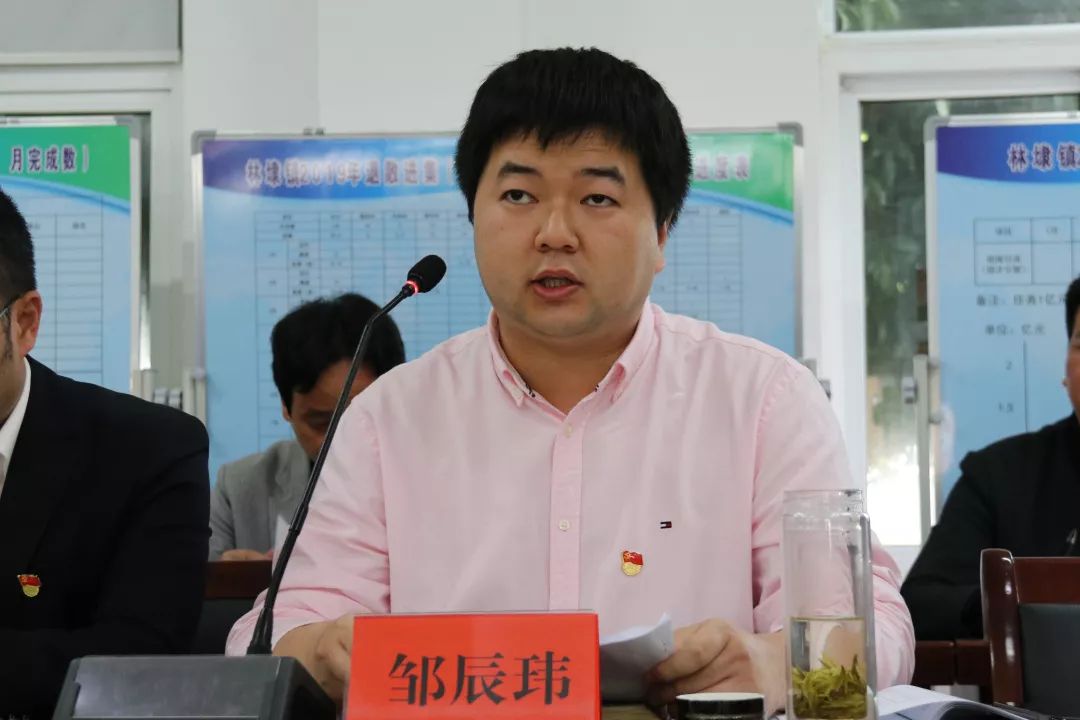 扬帆破浪再起航融合发展再聚力林埭镇召开四大工程暨八