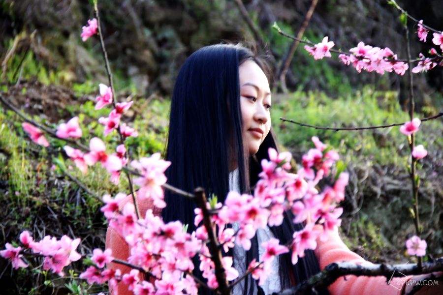 命带桃花,是墙内桃花还是墙外桃花?容易婚外情还是有利婚姻?