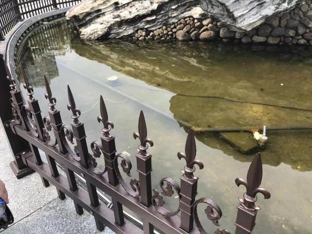 南沙洲公园楼梯中间鱼池的锥形护栏好危险,有孩子在攀爬过程中受伤.