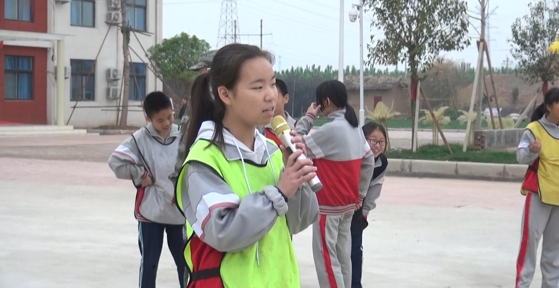 辉县市城北中学校花图片