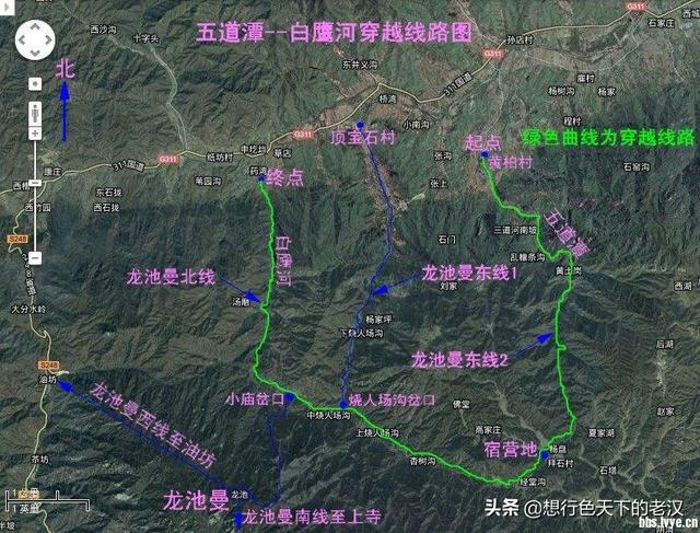 伏牛山之龙池曼国家自然保护区以银杏闻名