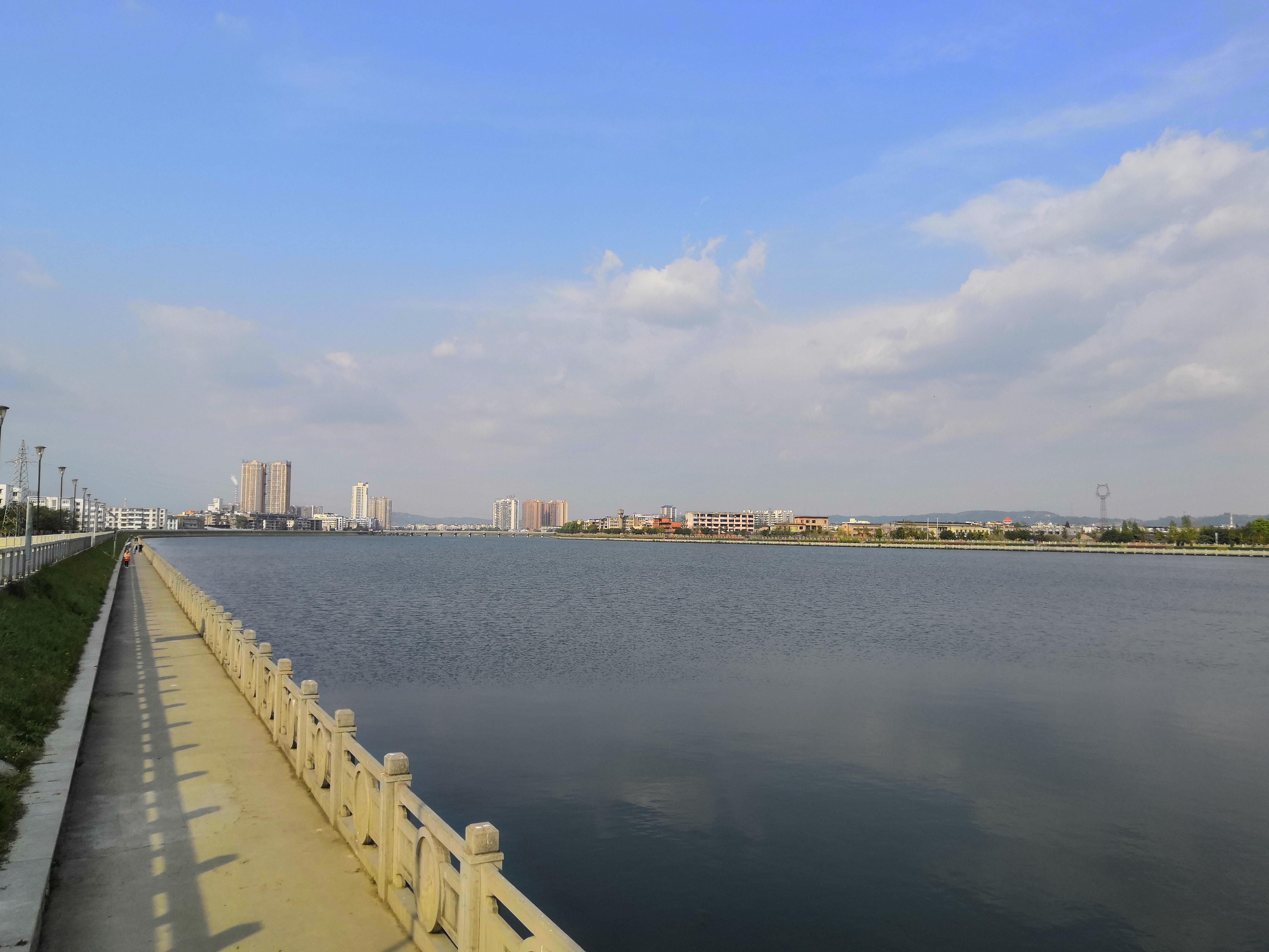 原创四川江油市市民在城区段涪江水面上发现了数百只不知名的水鸟