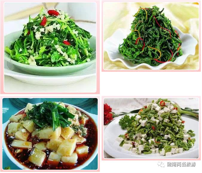 生态两当一个会呼吸的地方