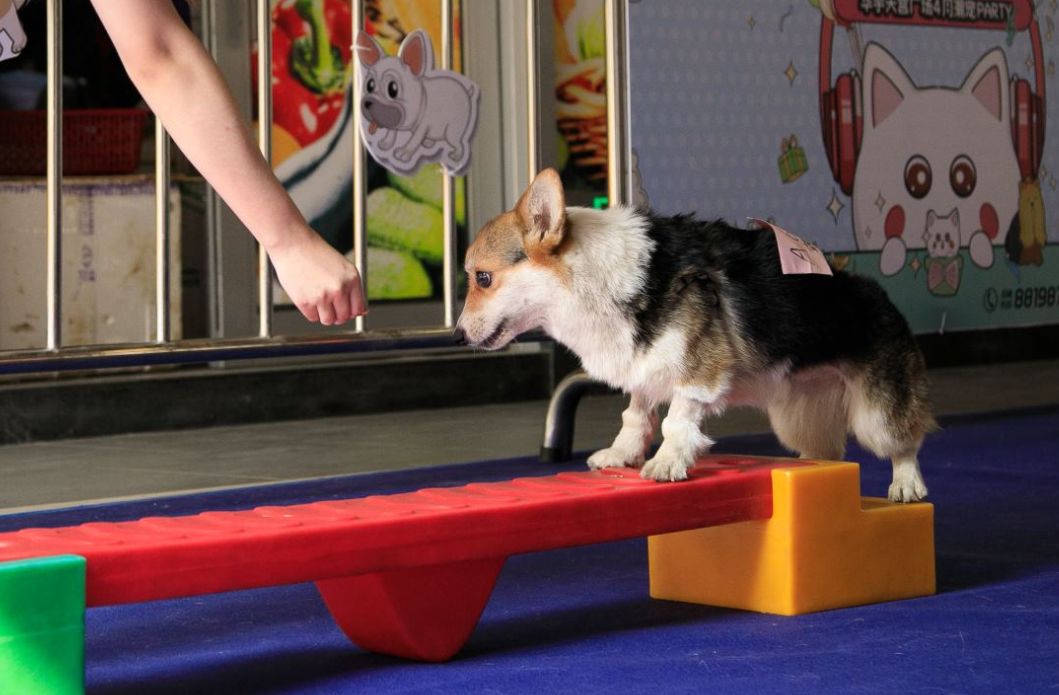 活动回顾丨你是最棒的挑战者